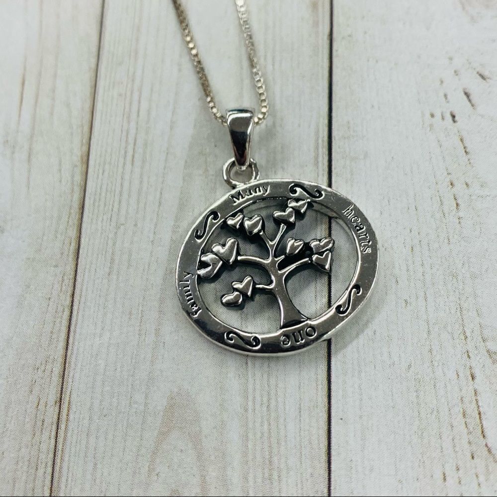 Sterling Silver One Family Many Hearts Necklace